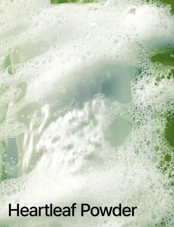 Anua - Heartleaf Quercetinol Pore Deep Cleansing Foam