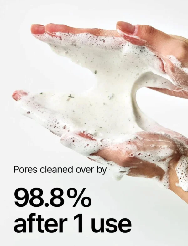 Anua - Heartleaf Quercetinol Pore Deep Cleansing Foam