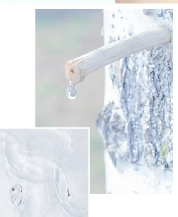 Anua - Birch Moisture Mask