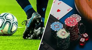 Descubra o Mundo das Apostas Online com 656bet 17