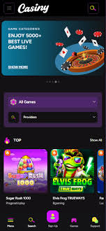 Discover the Excitement of Gaming at casiny1
