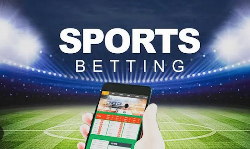 Exploring the Features and Benefits of betwinner 0