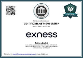 Ultimate Guide to Accessing Your Live Exness Metatrader 5 Account